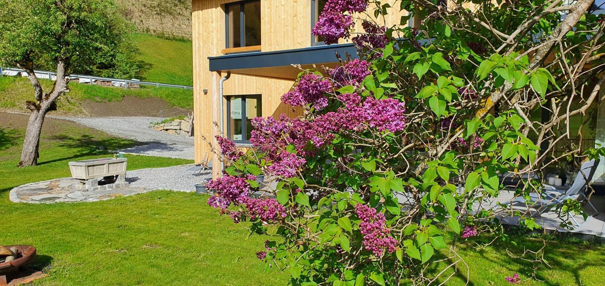 Haus Valtellina Villa Galgenul Ngoại thất bức ảnh